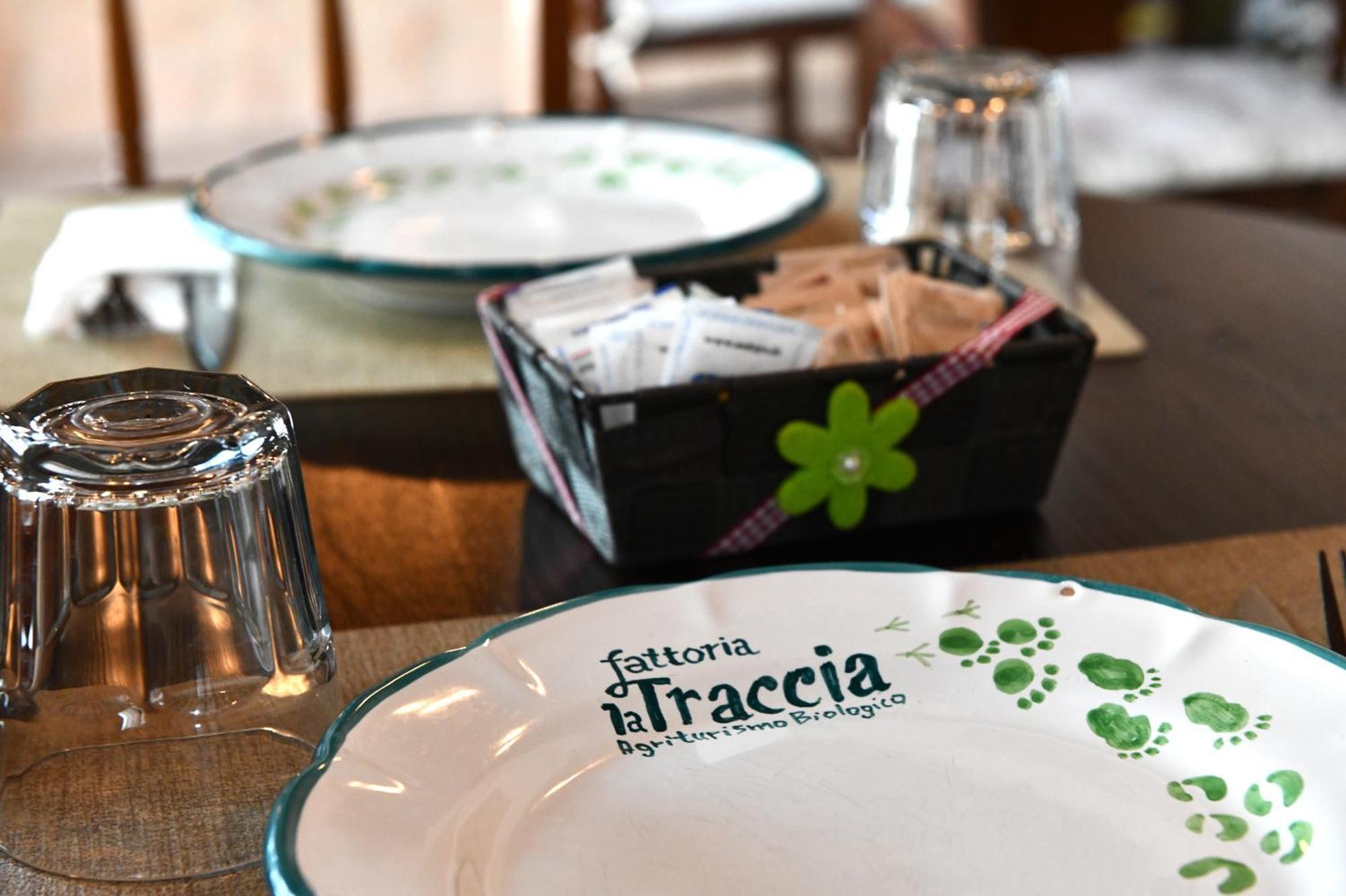 Fattoria La Traccia Farm stay *